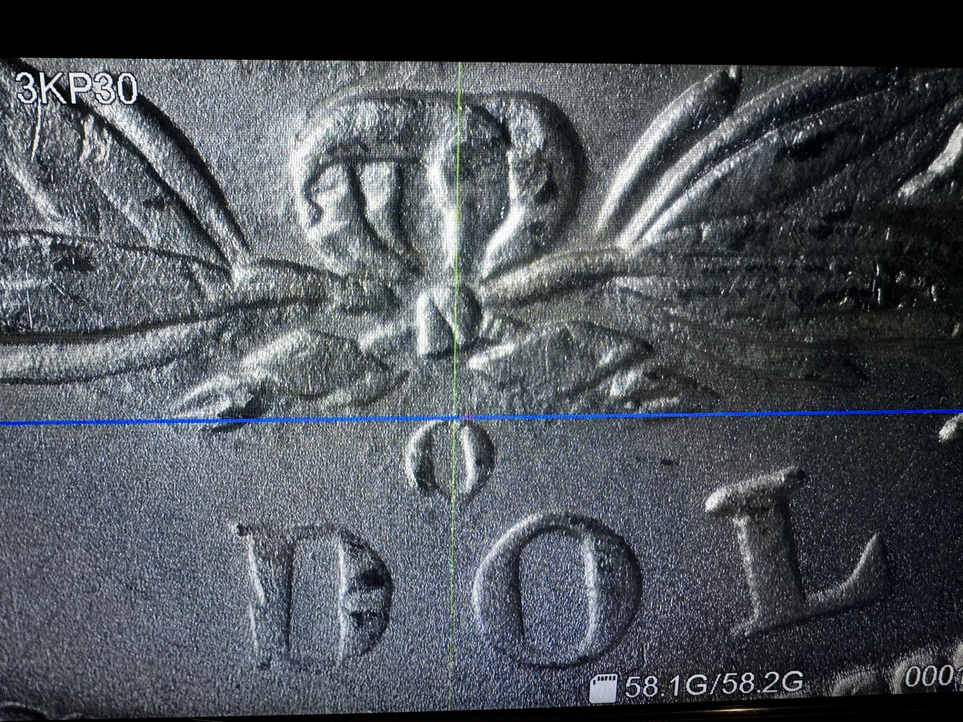 Detail shot 3 of the Morgan Dollar